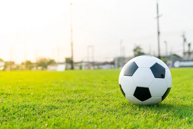 开云体育 体育赛事背景